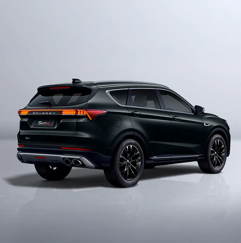 model-S09